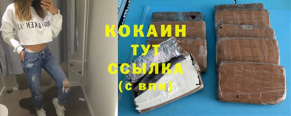 дживик Краснослободск