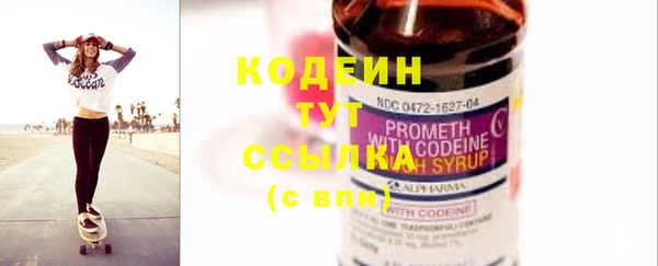 гашик Корсаков