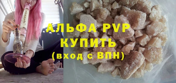 гашик Корсаков