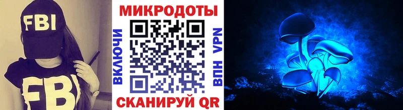 MEGA ссылка  Колпашево  Псилоцибиновые грибы прущие грибы 